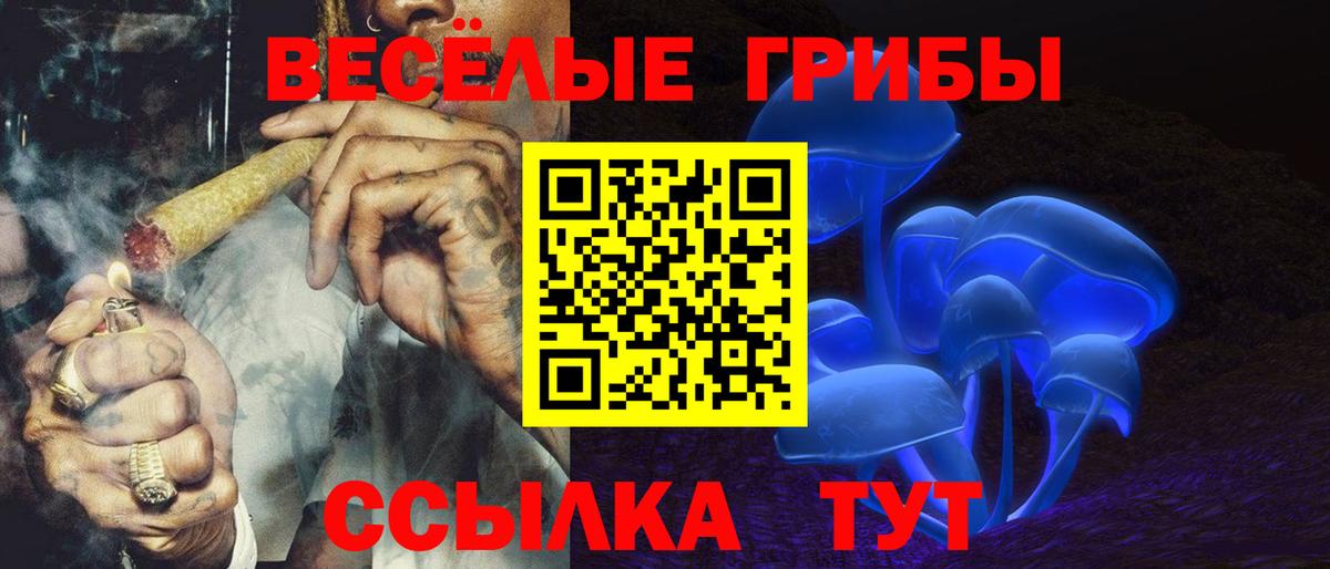 Южноуральск  Псилоцибиновые грибы прущие грибы  Вход с VPN  Псилоцибиновые грибы Psilocybine cubensis 